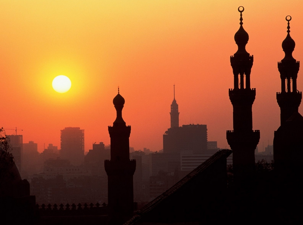 Egypt Justice Home Page at 11.45.36 AM (1).png